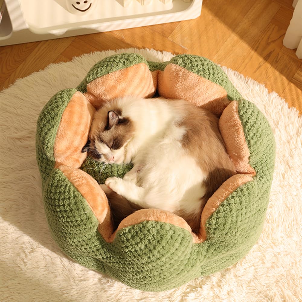 CWV Cute Cat Beds side view on wood floor shows space to stretch