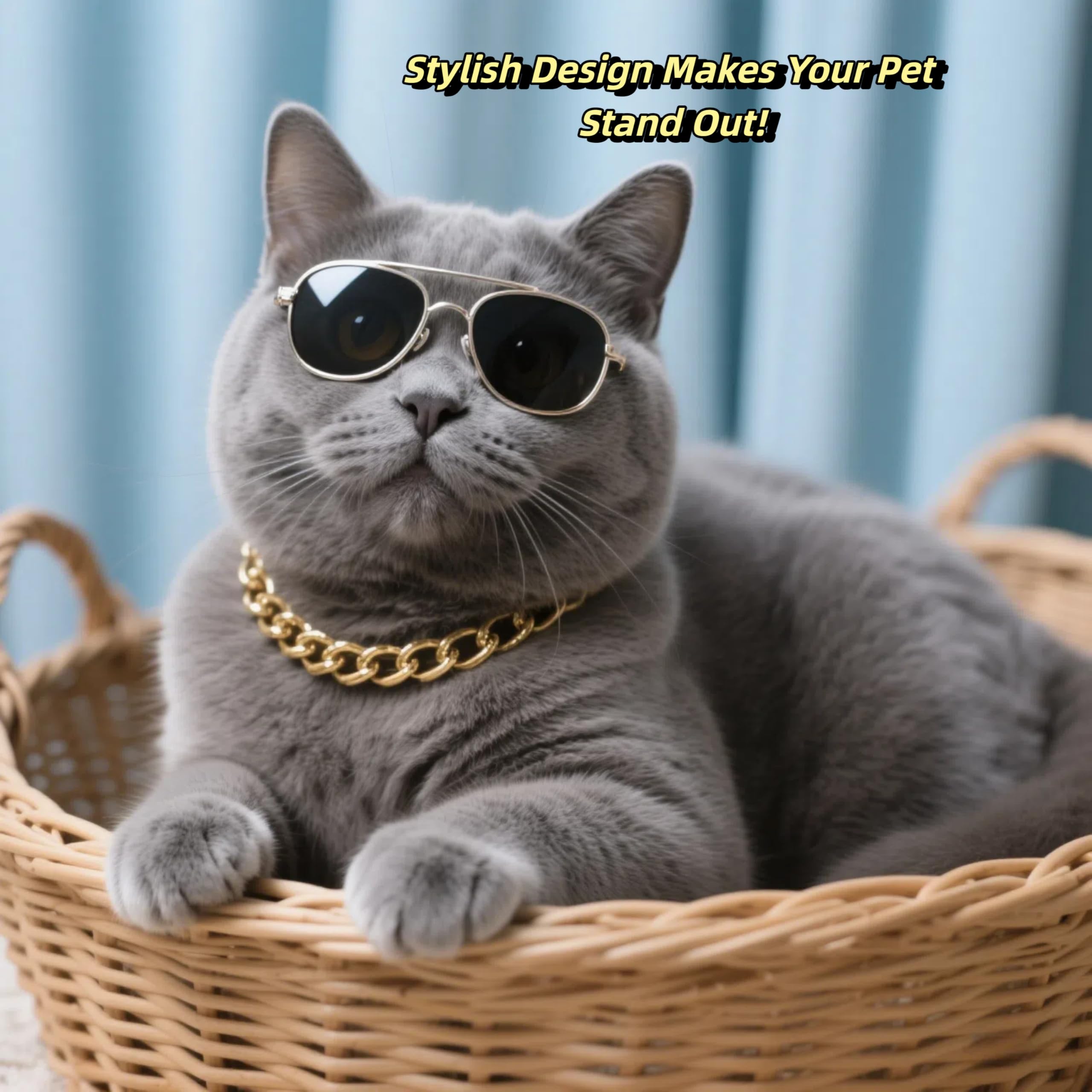CWYZA Gold Cat Chain Collar detail shot showcases modern style and secure clasp