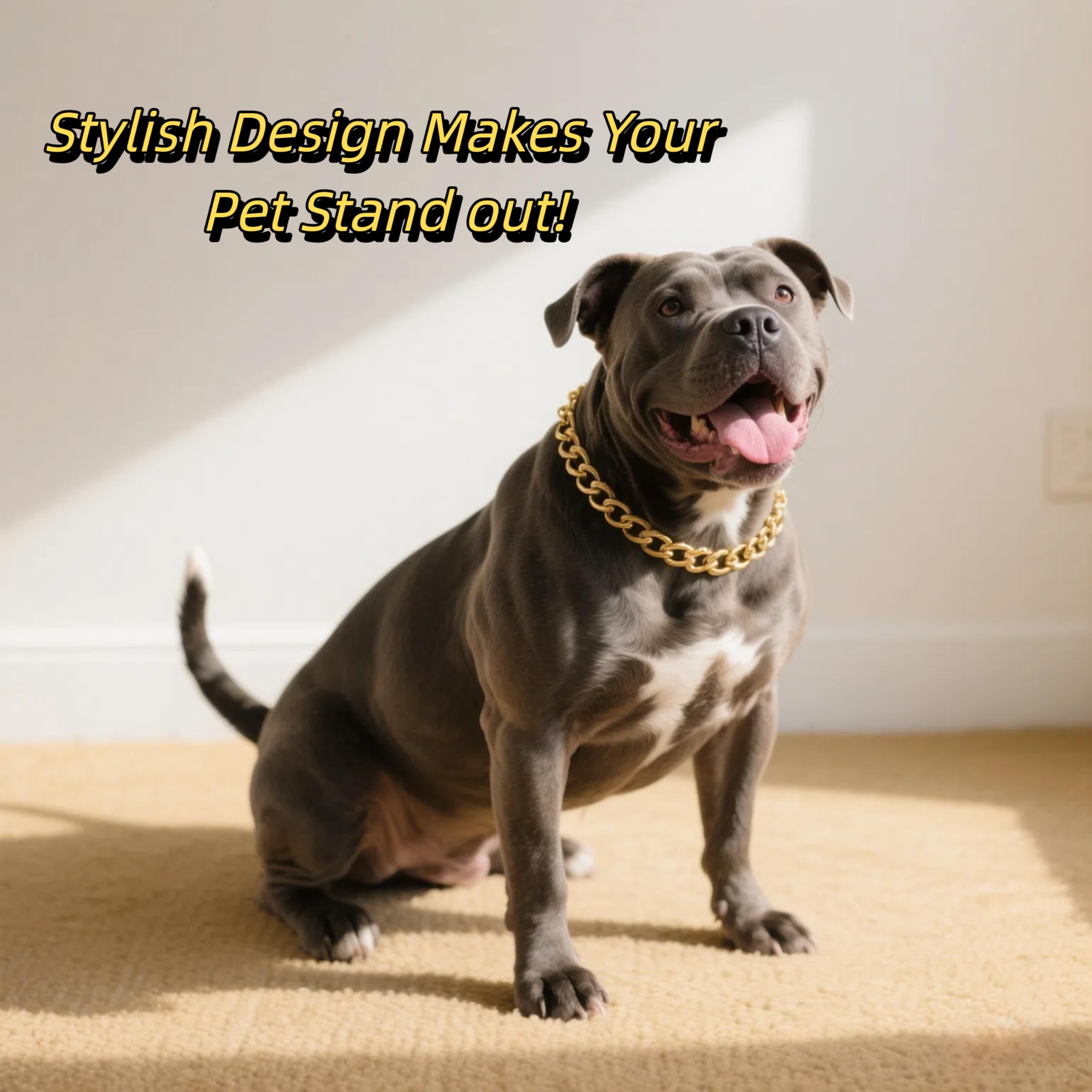 CWYZA gold dog chain plating finish resists fading in outdoor wear