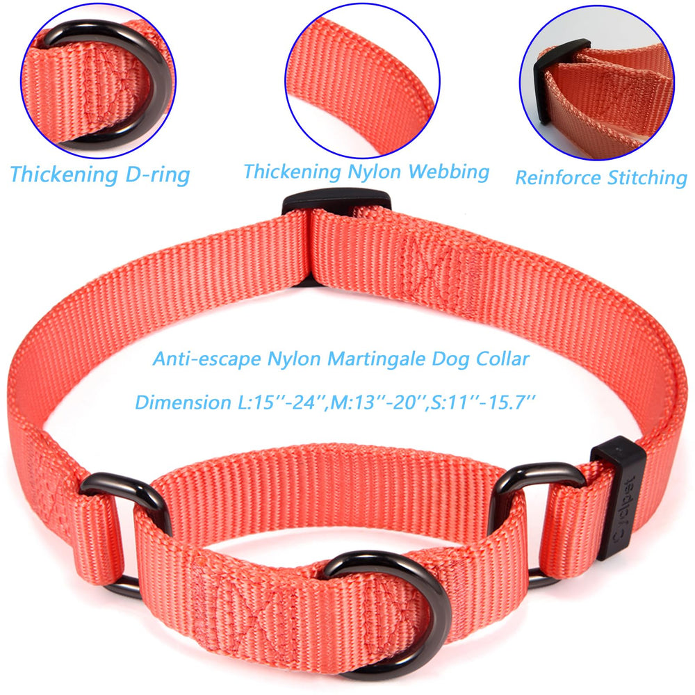 Cyclpet Martingale collar adjustment mechanism demonstrates easy size tuning for growing dogs.
