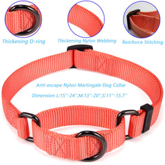 Cyclpet Martingale collar adjustment mechanism demonstrates easy size tuning for growing dogs.