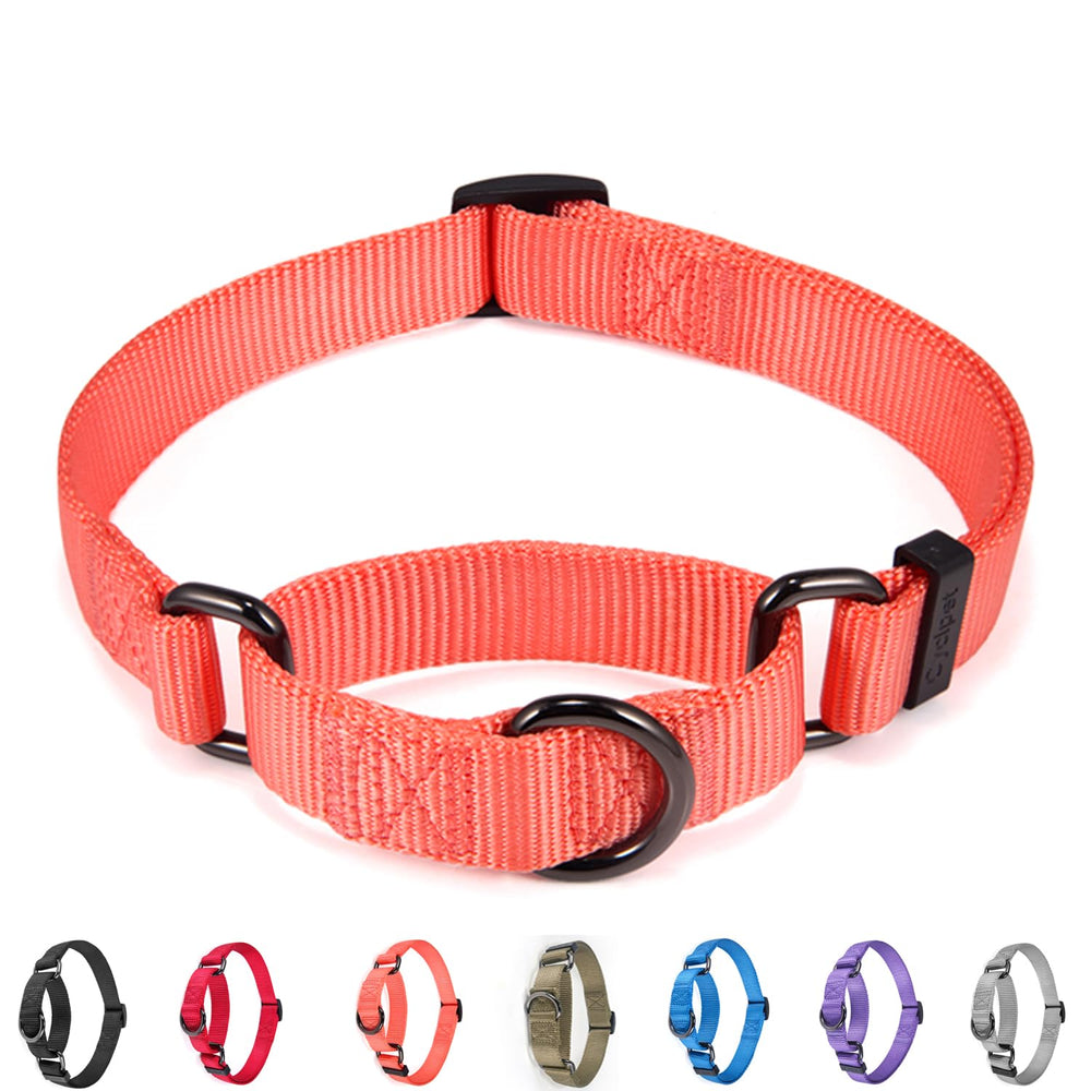 Cyclpet Premium Nylon Martingale Collar front view highlights soft texture and durable hardware.