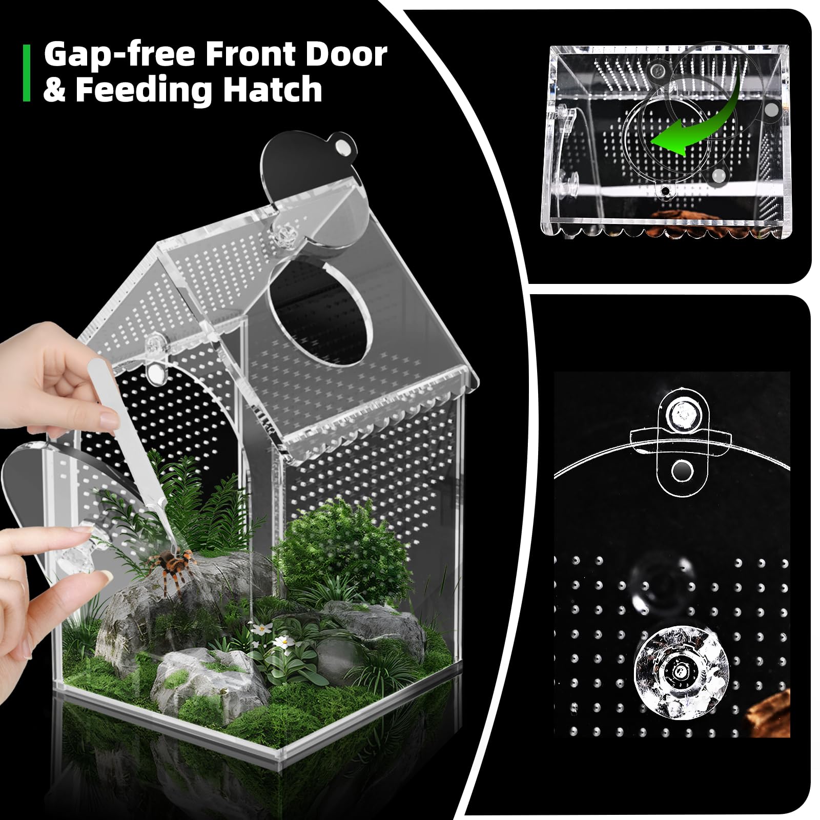 Cycodo jumping spider enclosure diamond door latch ensures smooth operation and secure closure