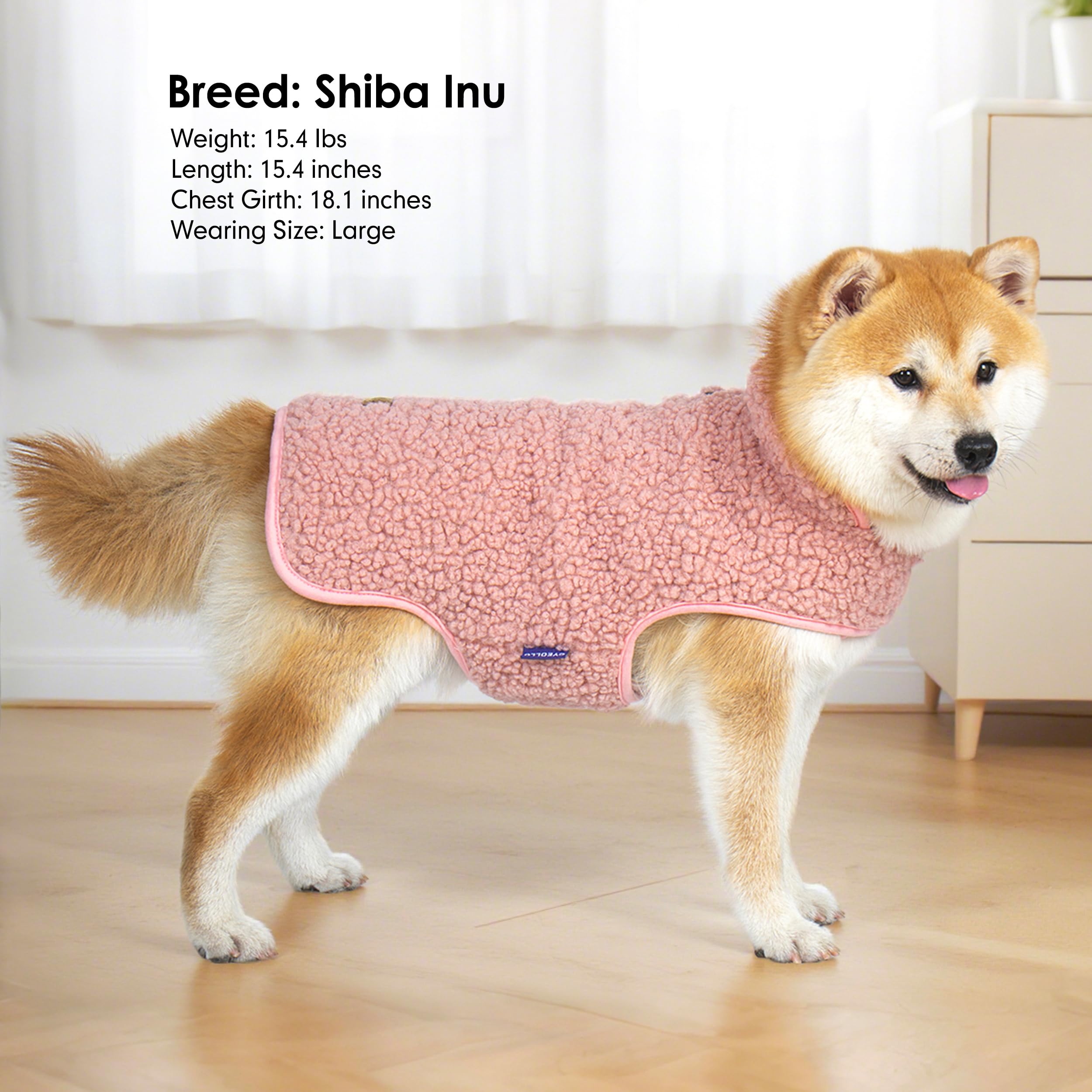 Cyeollo adjustable-strap dog coat ensures easy on and secure fit.