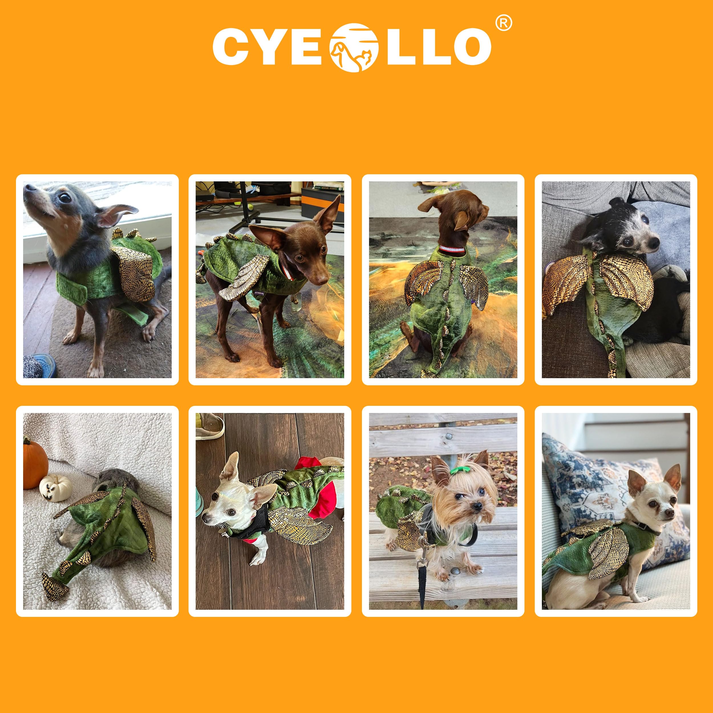 Cyeollo bunny dino-costume ready for Halloween photo moments.
