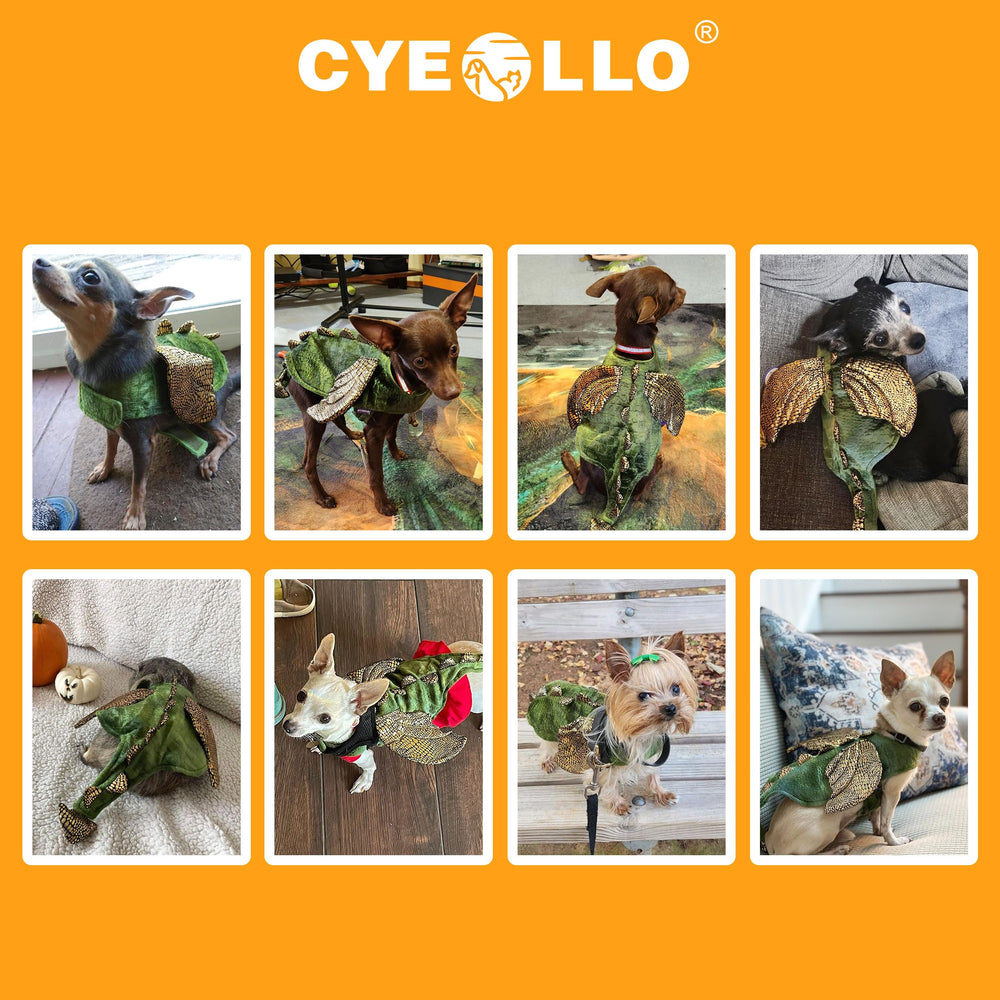 Cyeollo bunny dino-costume ready for Halloween photo moments.