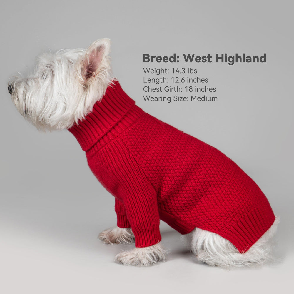 cyeollo red Christmas sweater creates festive look for pets