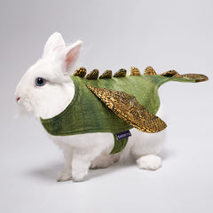 Cyeollo dinosaur costume on a kitten for cute autumn photos.