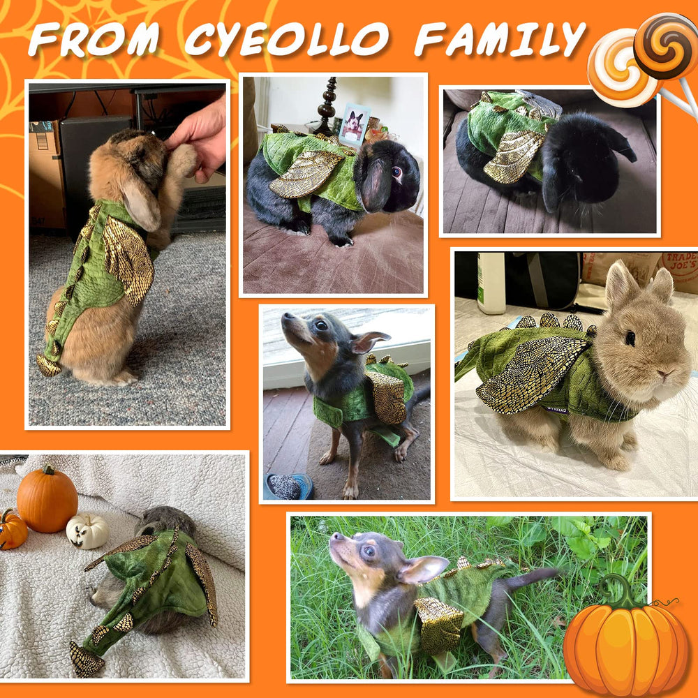 Cyeollo dinosaur costume on a puppy for playful Halloween cosplay.