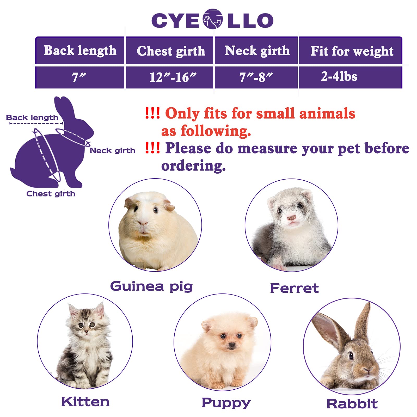 Cyeollo dinosaur costume on a small pet for cozy autumn wear and festive photos.