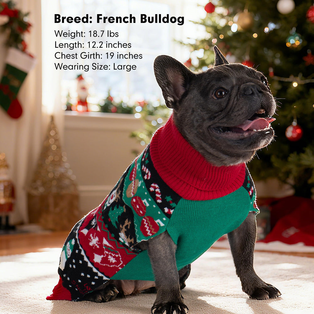 Cyeollo dog sweater large dog photo shows comfortable fit.