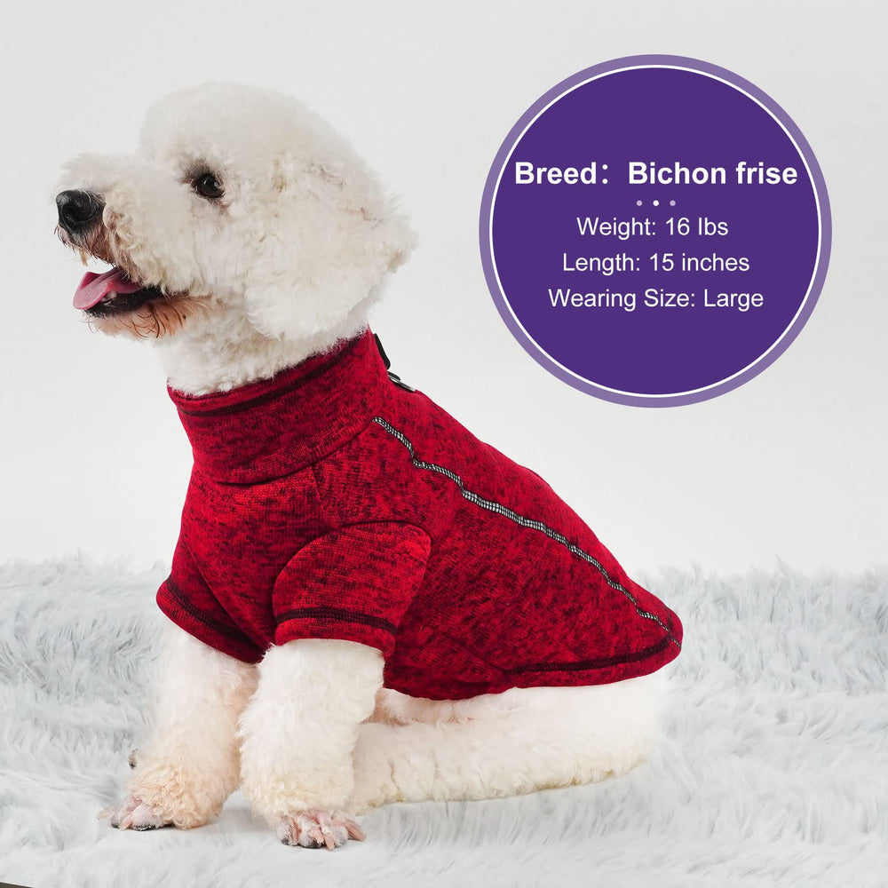 Cyeollo dog coat jacket outdoor leash compatibility for everyday outdoor adventures.