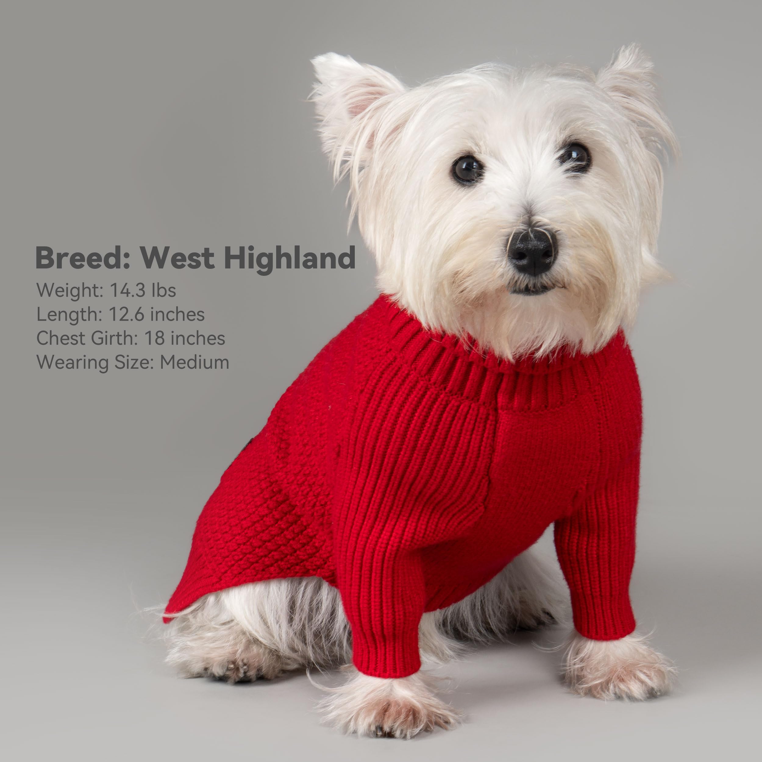 cyeollo turtleneck dog sweater supports seasonal wear and photos