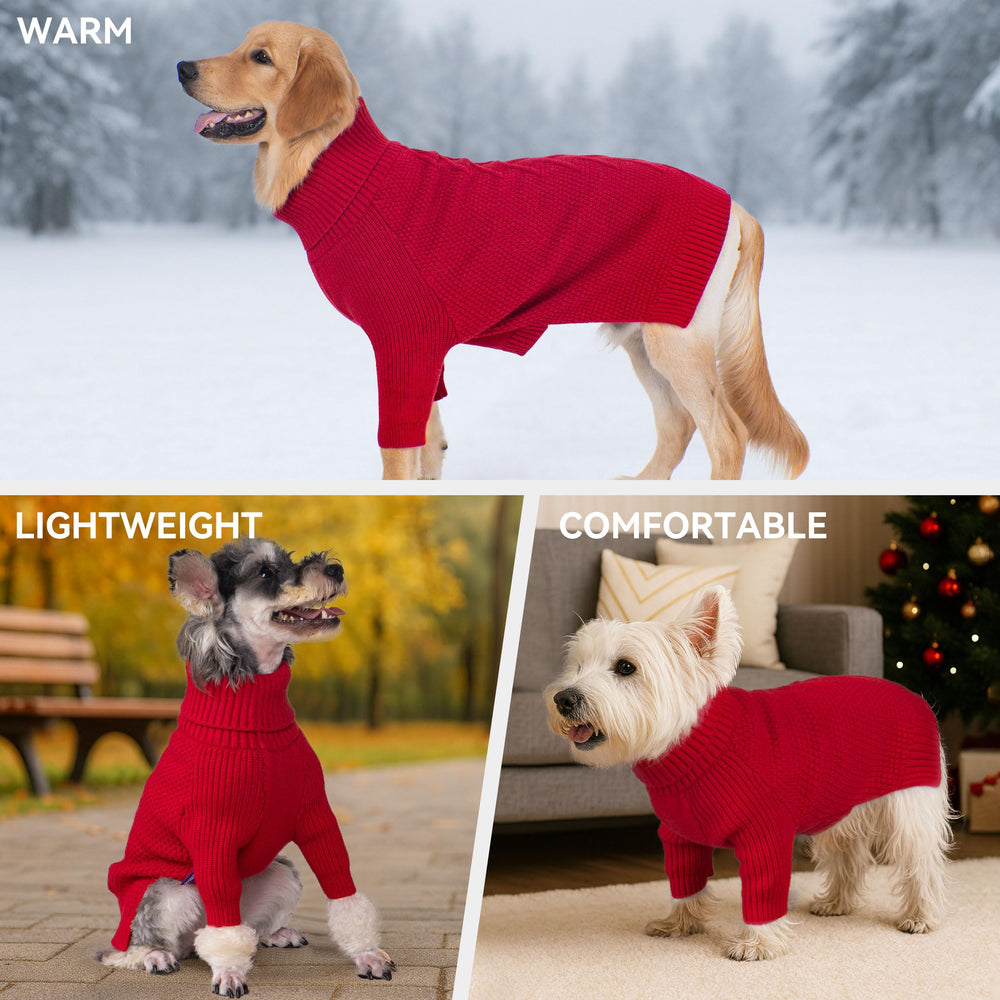 cyeollo sweater sleeve detail demonstrates full coverage without limiting movement
