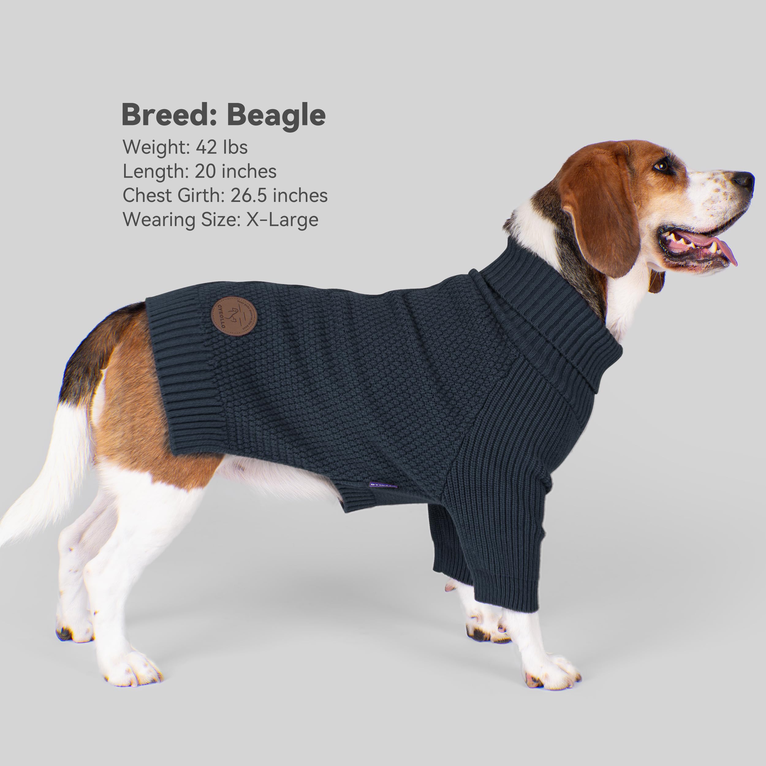 Cyeollo size suggestions help ensure the right fit for pets