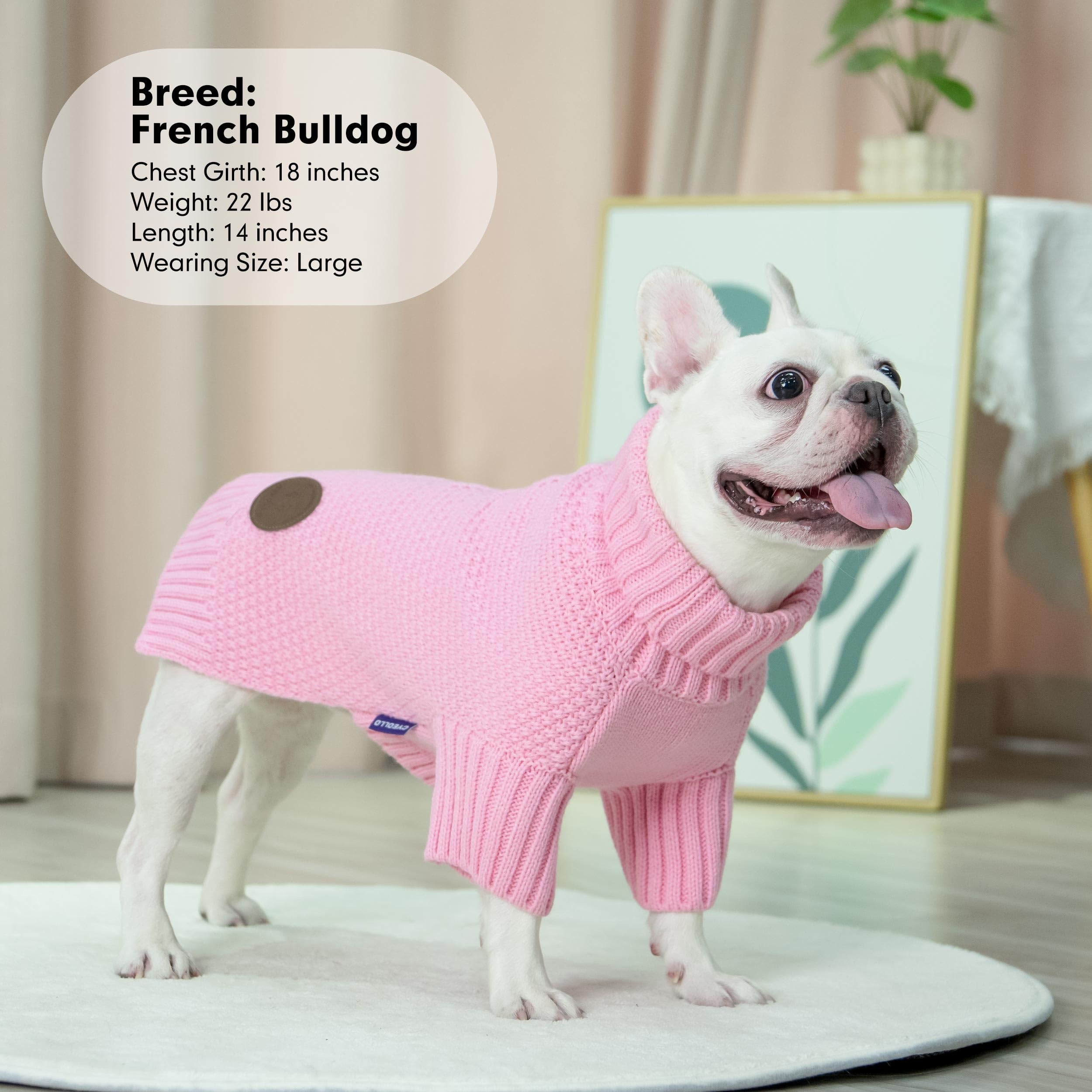 cyeollo dog sweater pink on model demonstrates everyday wearability.