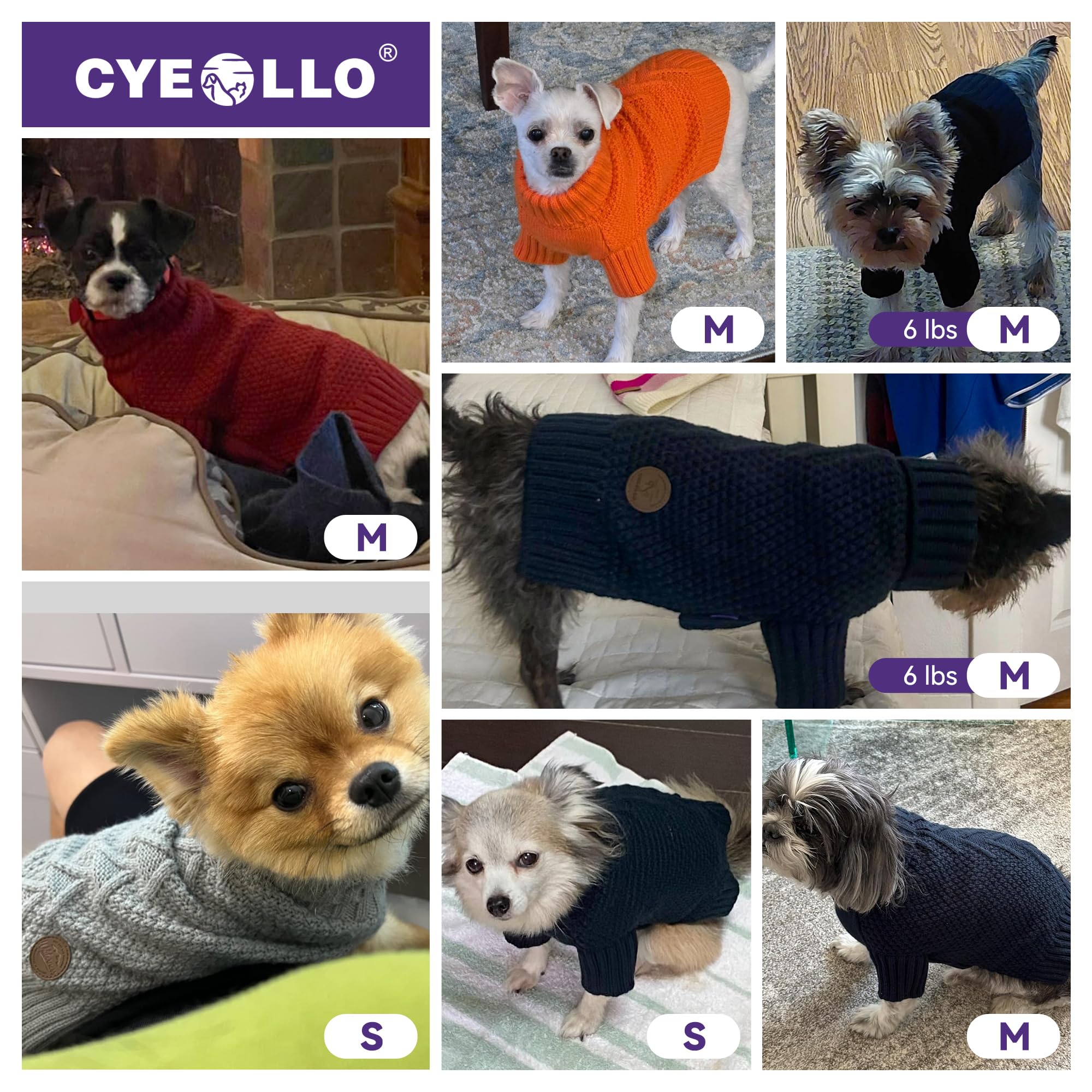 Cyeollo dog warmth visual highlights comfortable, warm wear for autumn and winter