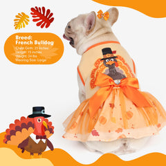 cyeollo fall dog dress highlights autumn style for everyday wear.