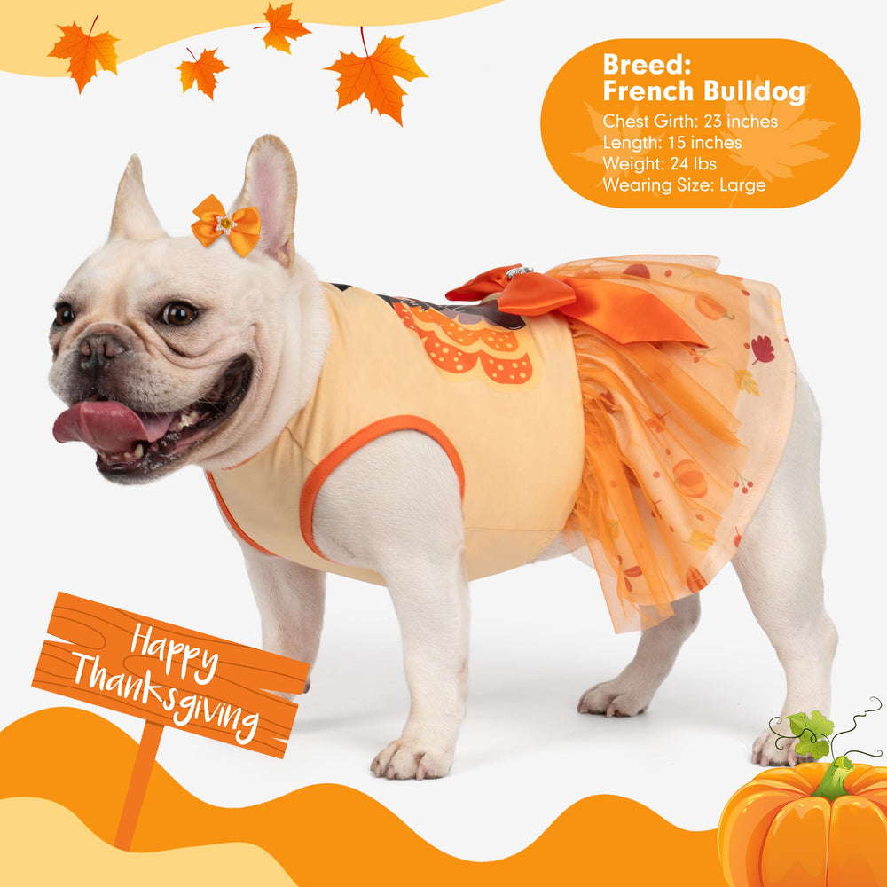 cyeollo holiday dog costume ready for photoshoots and family celebrations.