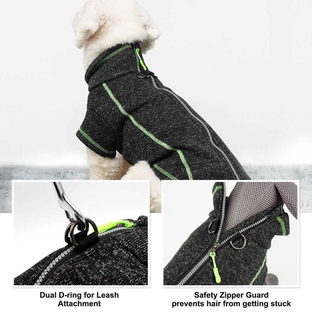 cyeollo reflective strip enhances nighttime safety during pet outings