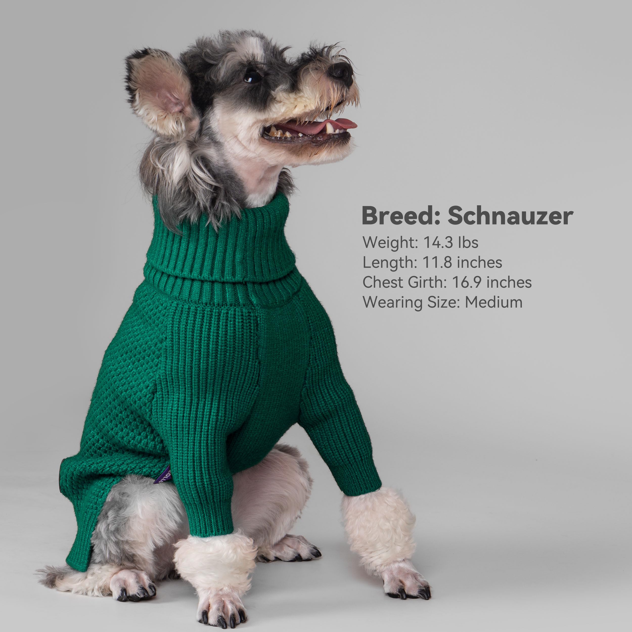 Cyeollo size chart guide for dog sweater helps buyers find the right fit