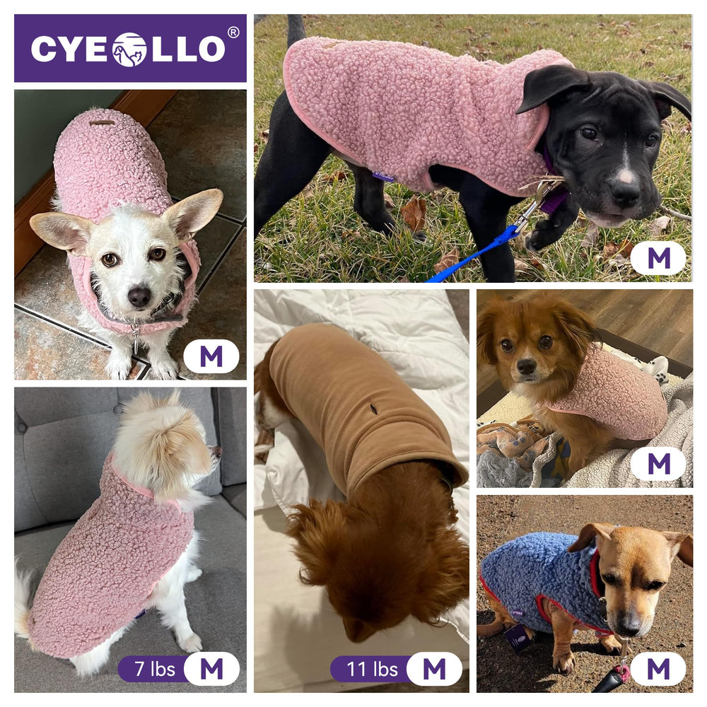 Cyeollo size-guide dog coat demonstrates six-size range for precise fit.