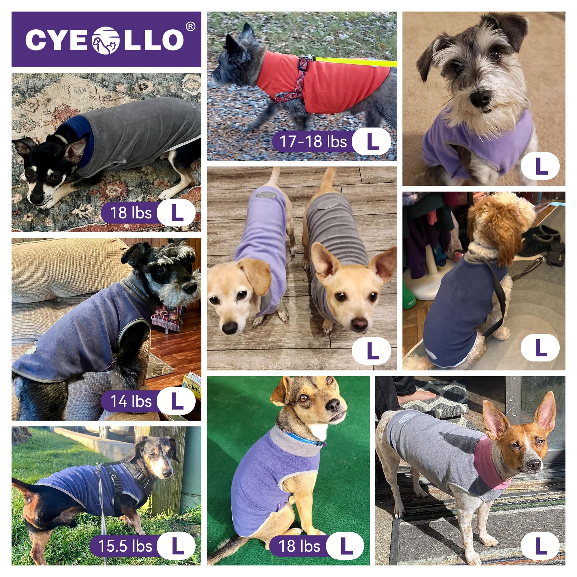 Cyeollo size guide highlights measuring chest and back for proper fit.