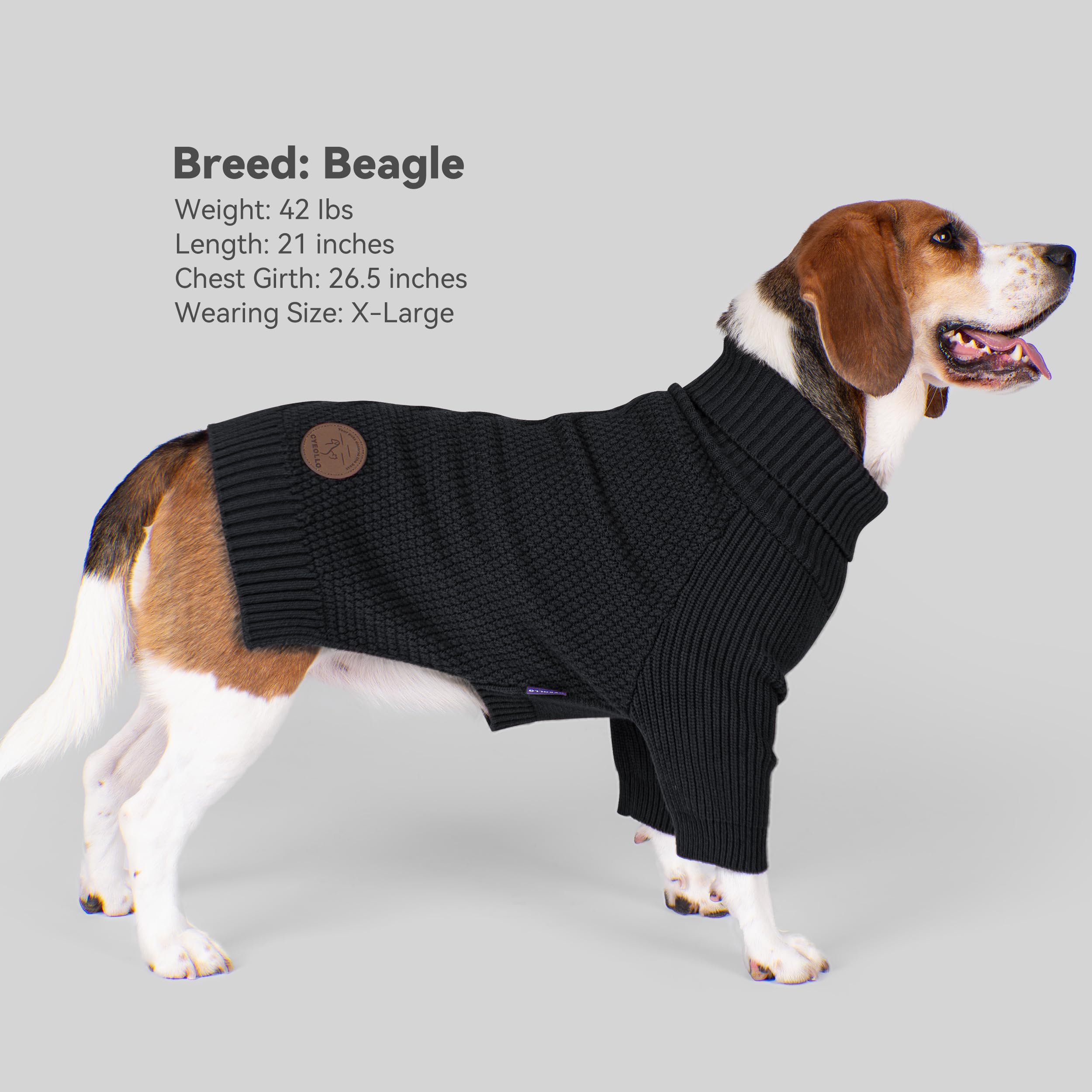 cyeollo small fleece dog sweater worn by puppy during a cozy outing