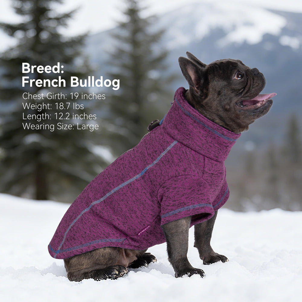 cyeollo purple dog sweater ideal for cozy outdoor adventures