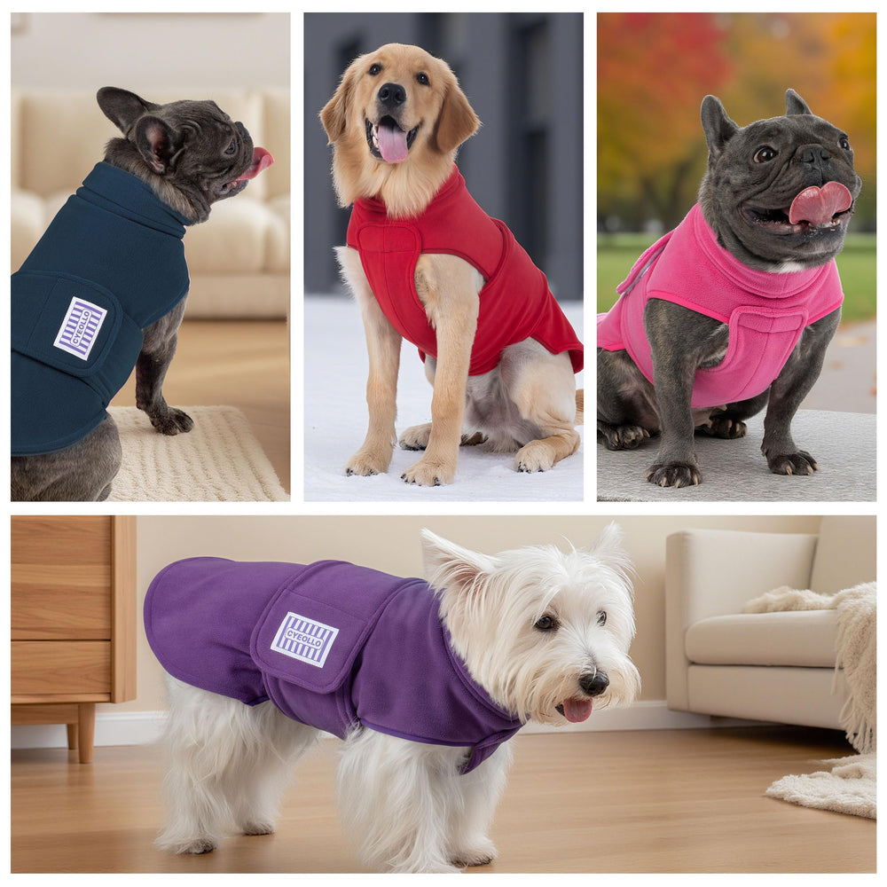 Cyeollo XXL dog sweater supports indoor and outdoor wear in chilly days.