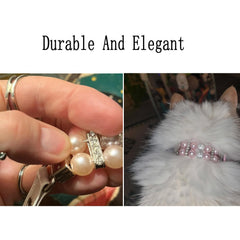 cyhaen Pink Pearl Collar XS size on a tiny dog for everyday wear