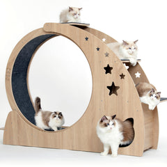CYlively 5-in-1 cat wheel full assembly for indoor exercise and play