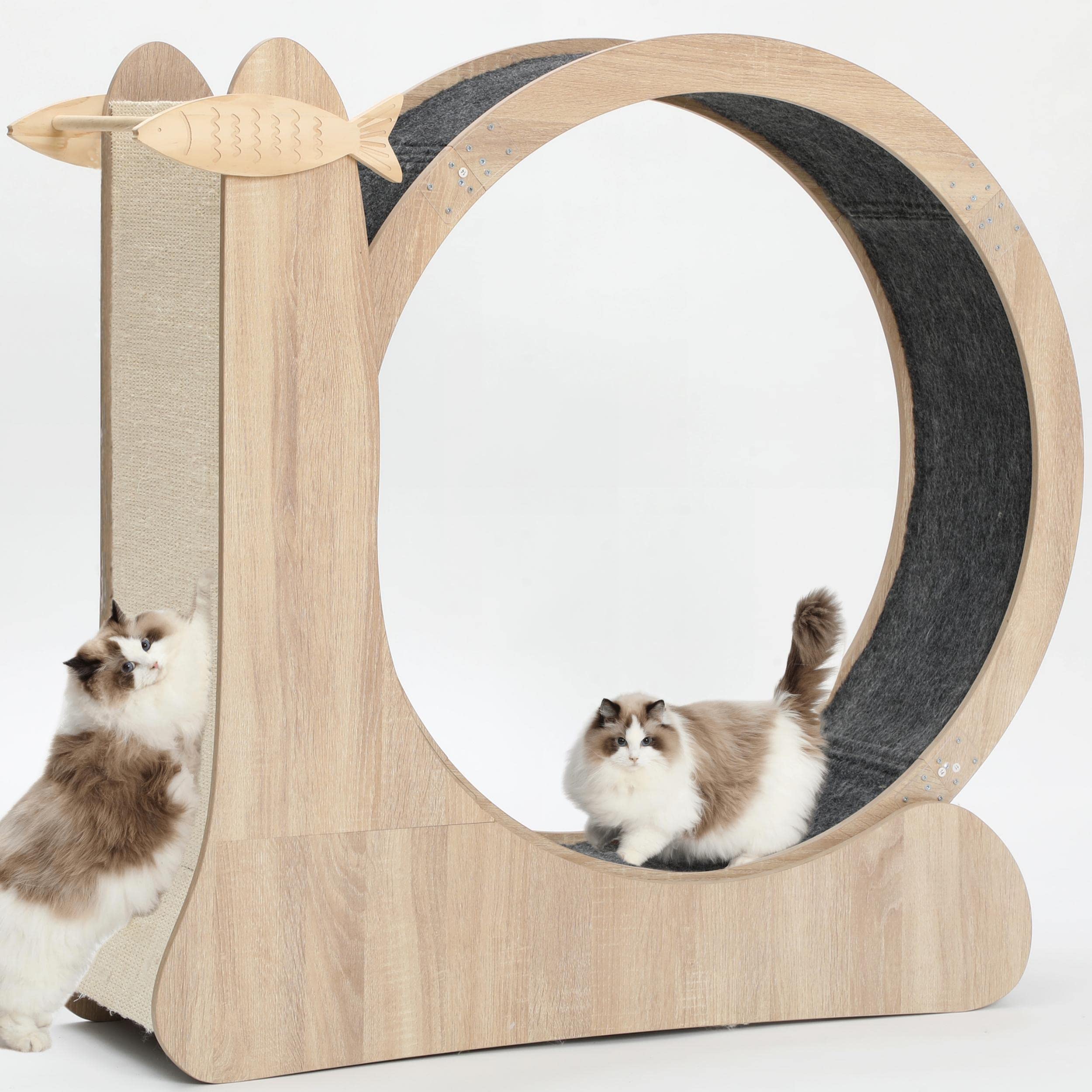 CYlively cat wheel assembly shows quick, tool-light setup for indoor cats.