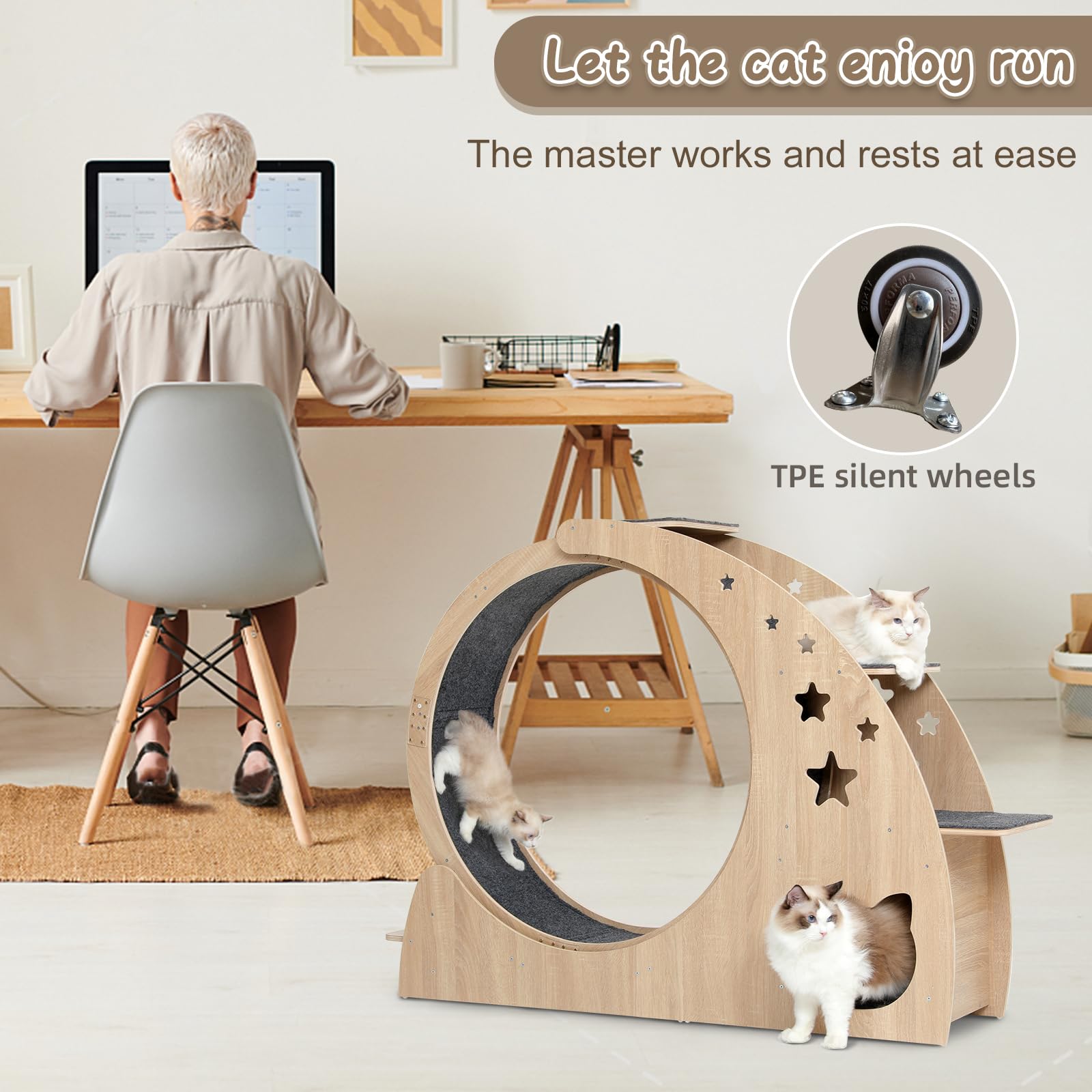 CYlively cat wheel feeding bowl on lower left