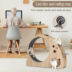 CYlively cat wheel feeding bowl on lower left