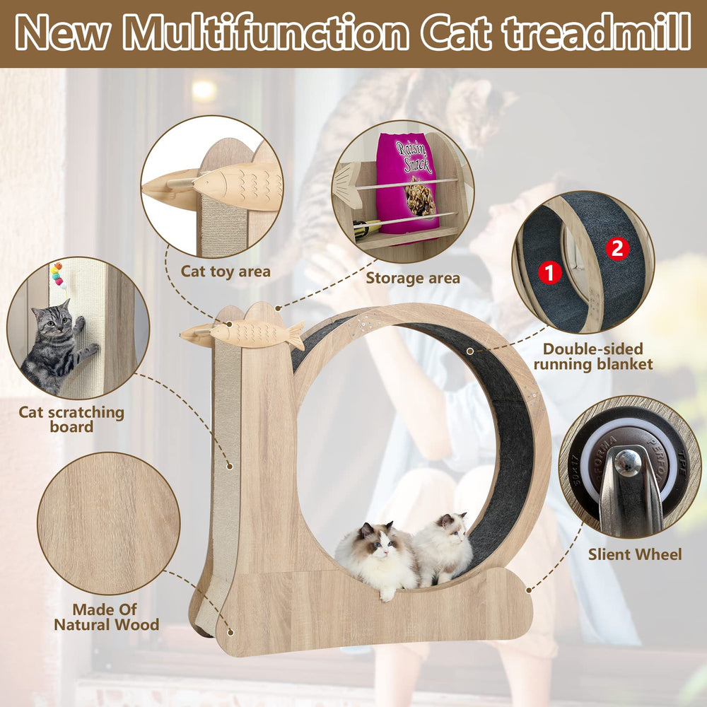 CYlively cat wheel indoors image highlights space-conscious design for apartments.