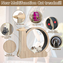 CYlively cat wheel indoors image highlights space-conscious design for apartments.