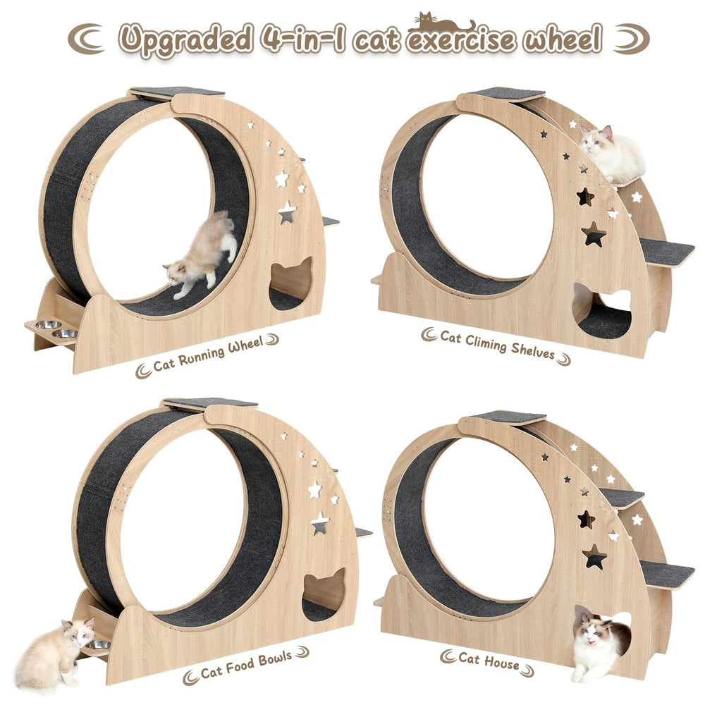 CYlively cat wheel with silent pulleys for quiet playtime