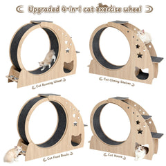 CYlively cat wheel with silent pulleys for quiet playtime
