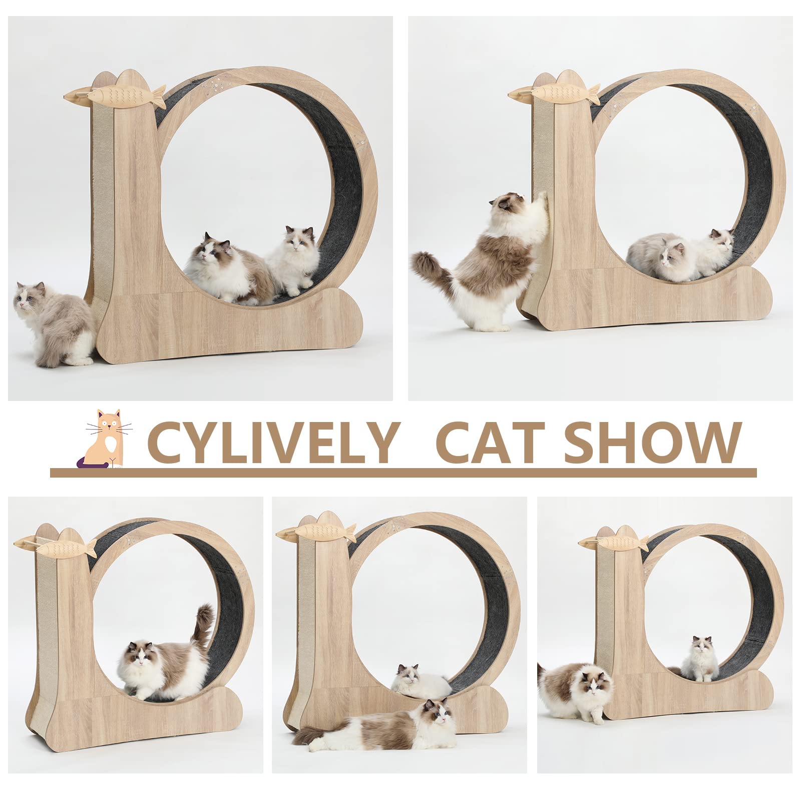 CYlively cat wheel weight-capacity 44 lbs image indicates sturdy support.