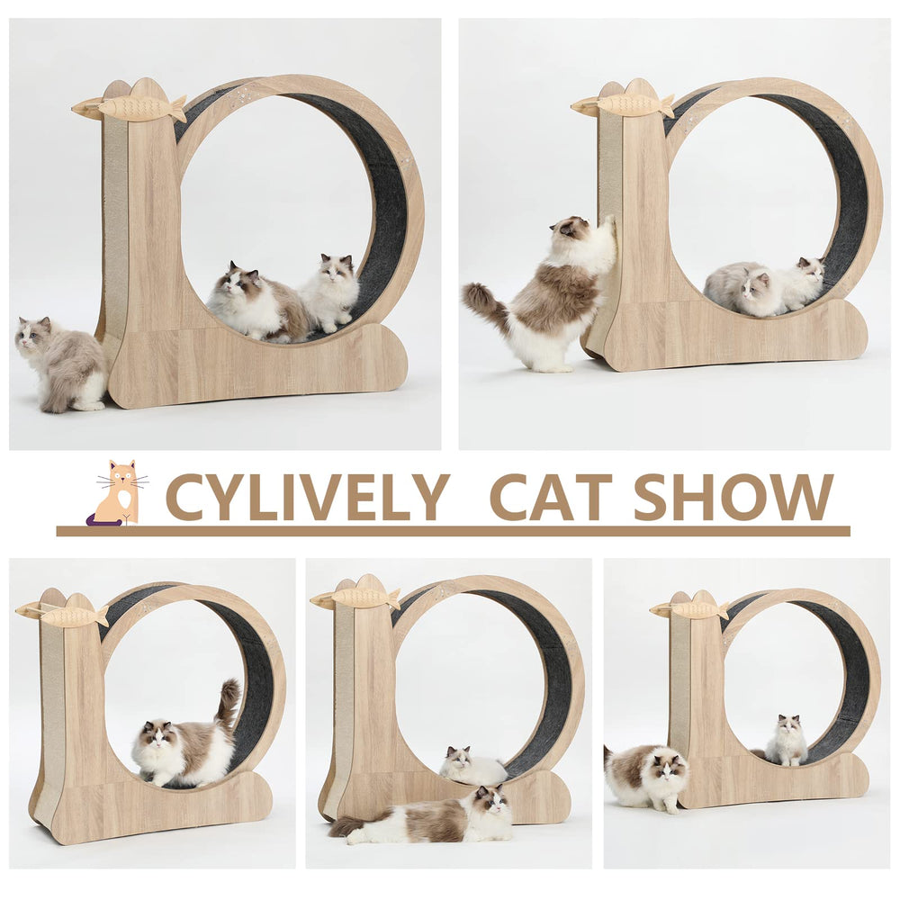 CYlively cat wheel weight-capacity 44 lbs image indicates sturdy support.