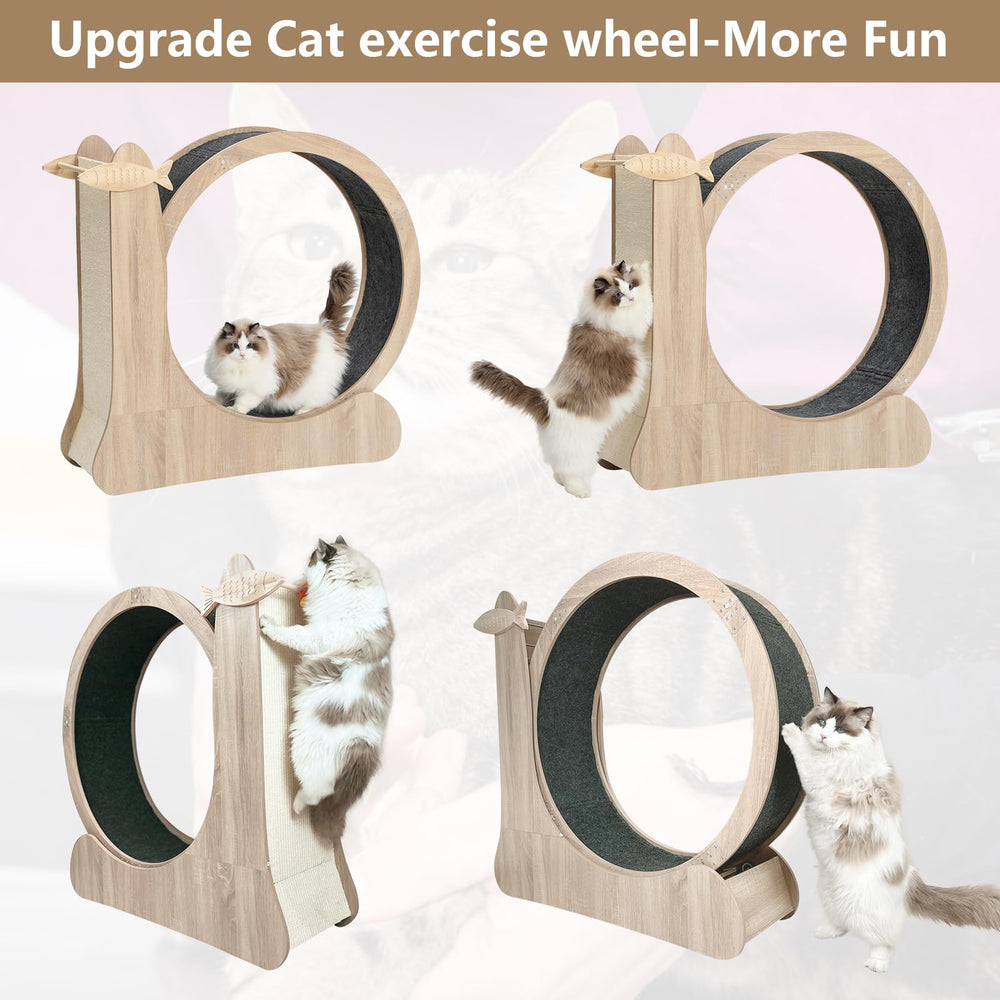 CYlively cat wheel wood material emphasizes durable, pet-friendly surface.