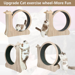 CYlively cat wheel wood material emphasizes durable, pet-friendly surface.