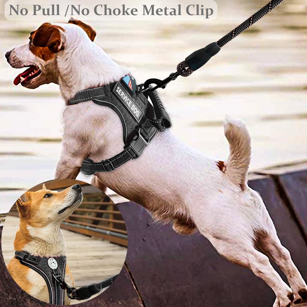Cymiler harness handle provides extra control during training.