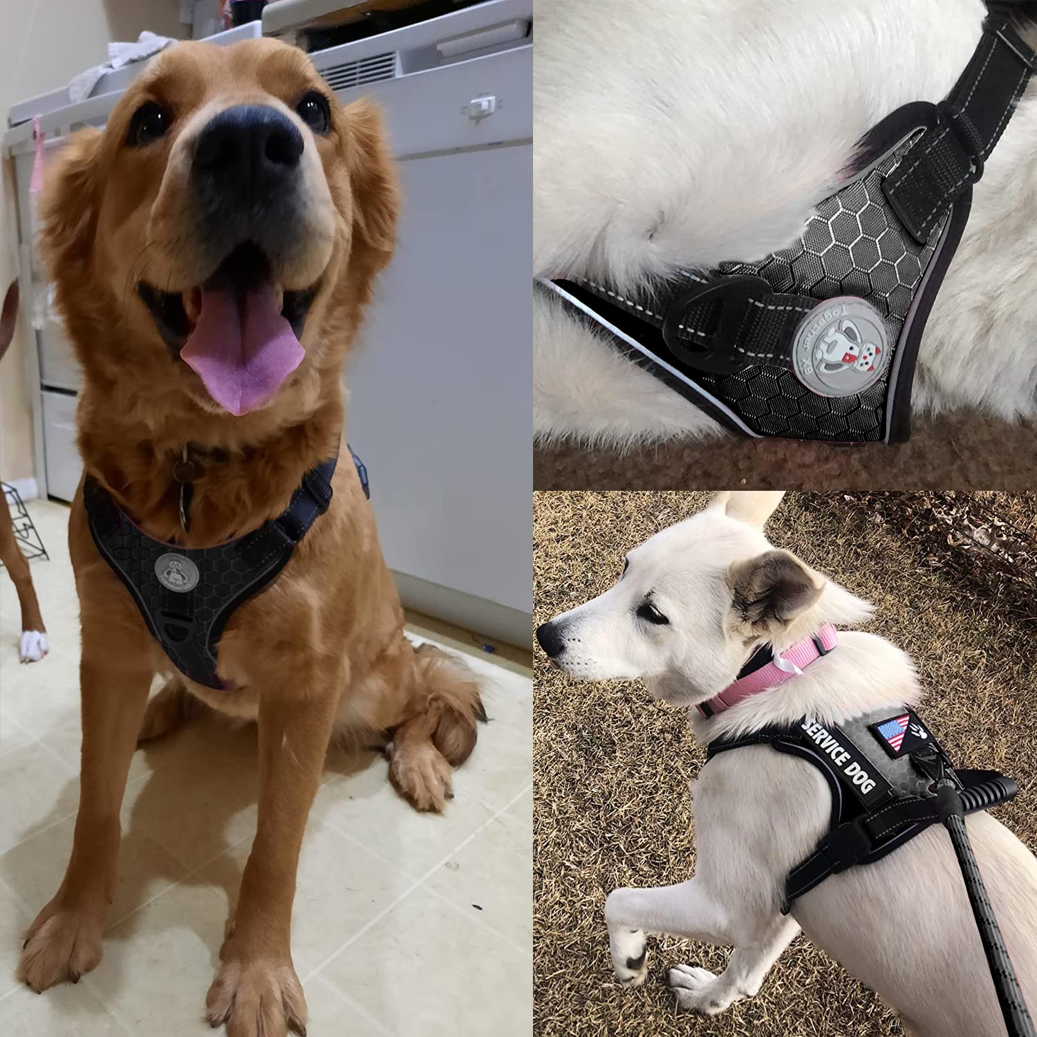 Cymiler 5ft nylon leash offers sturdy grip and controlled walks.