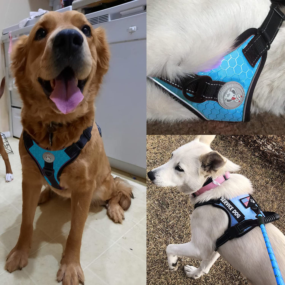 Cymiler service dog leash padded handle provides comfortable grip.