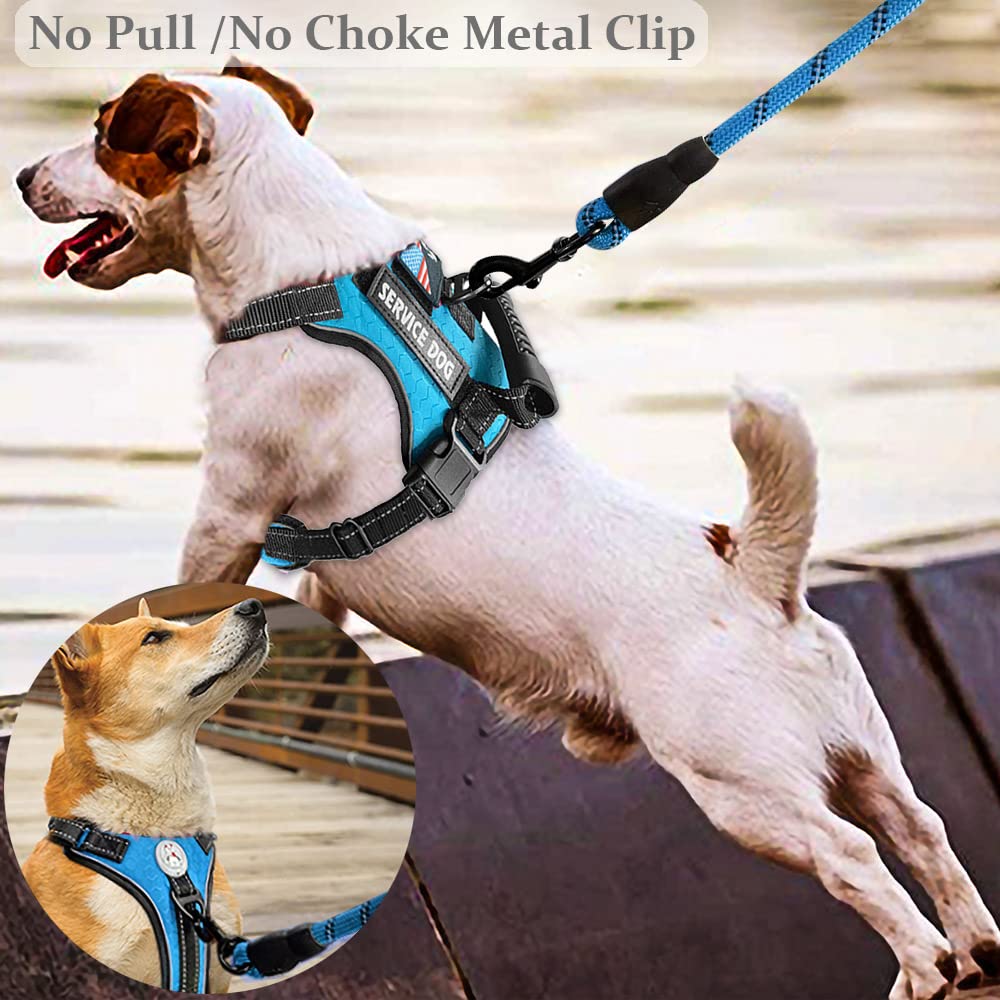 Cymiler service dog set includes leash, bag holders, collapsible bowl for outings.