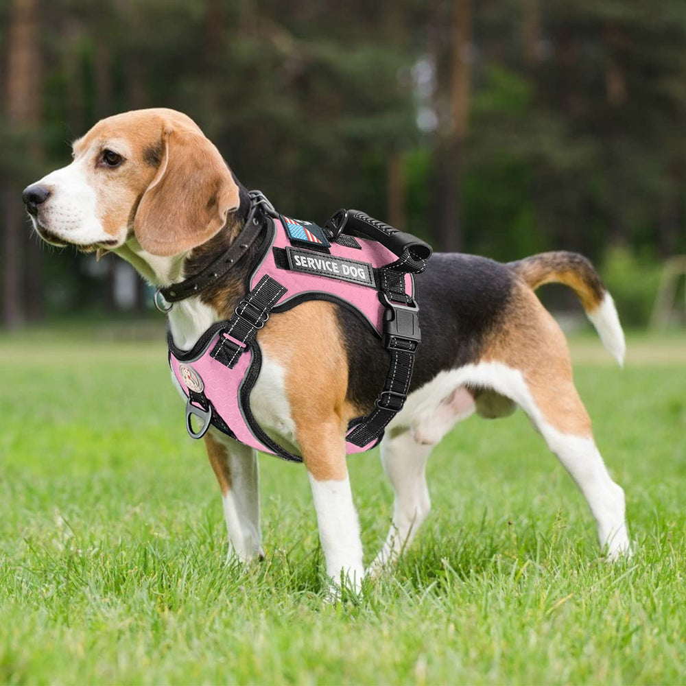 Cymiler Service Dog Vest back view with sturdy handle for quick lifting and support.