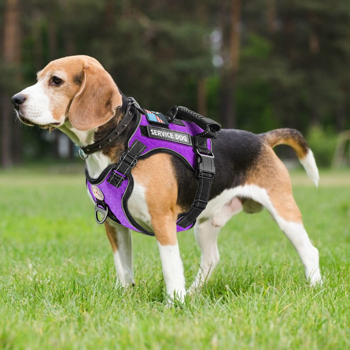 Cymiler service dog vest front view showing pull-control front clamp.