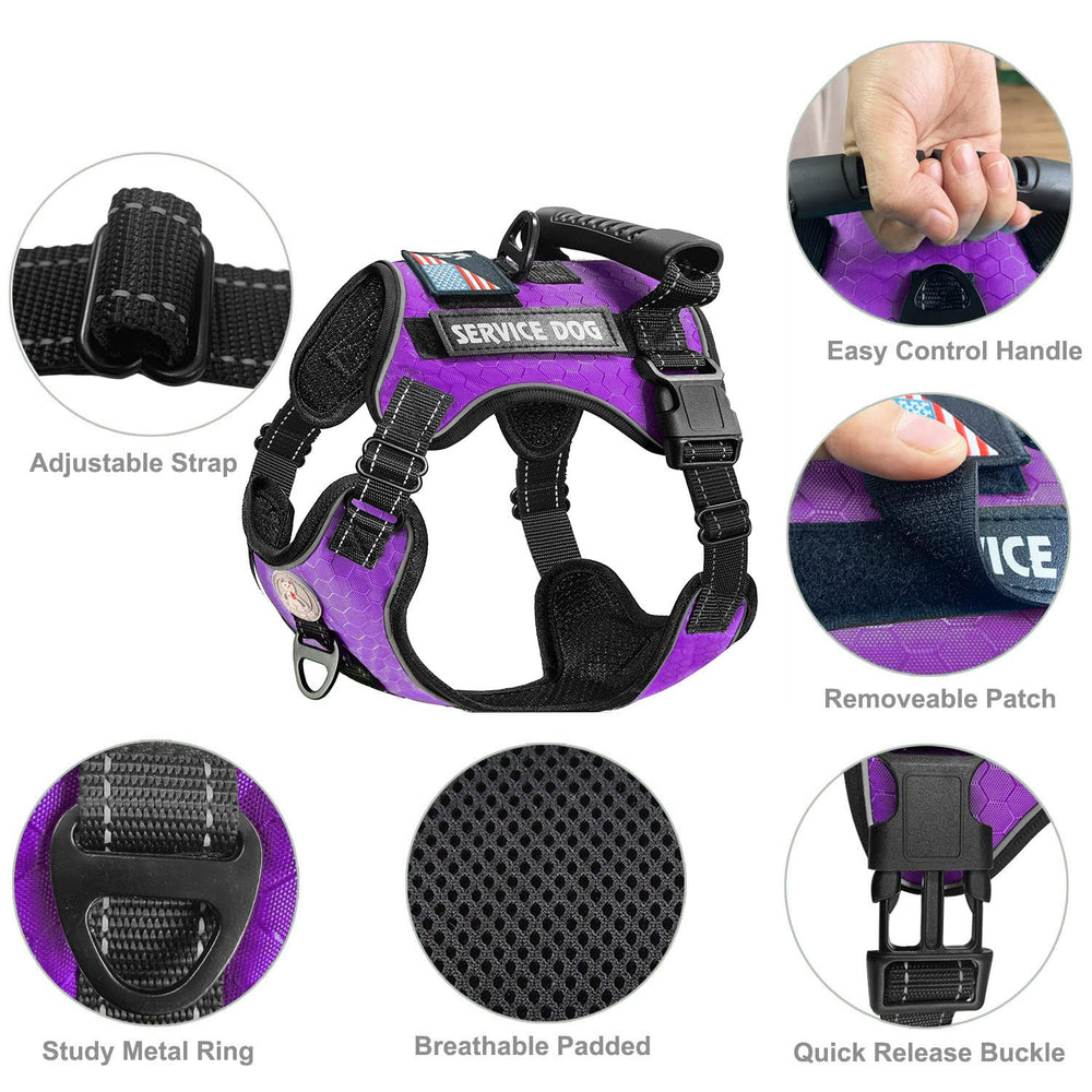 Cymiler vest features reflective straps and back handle for visibility and control.